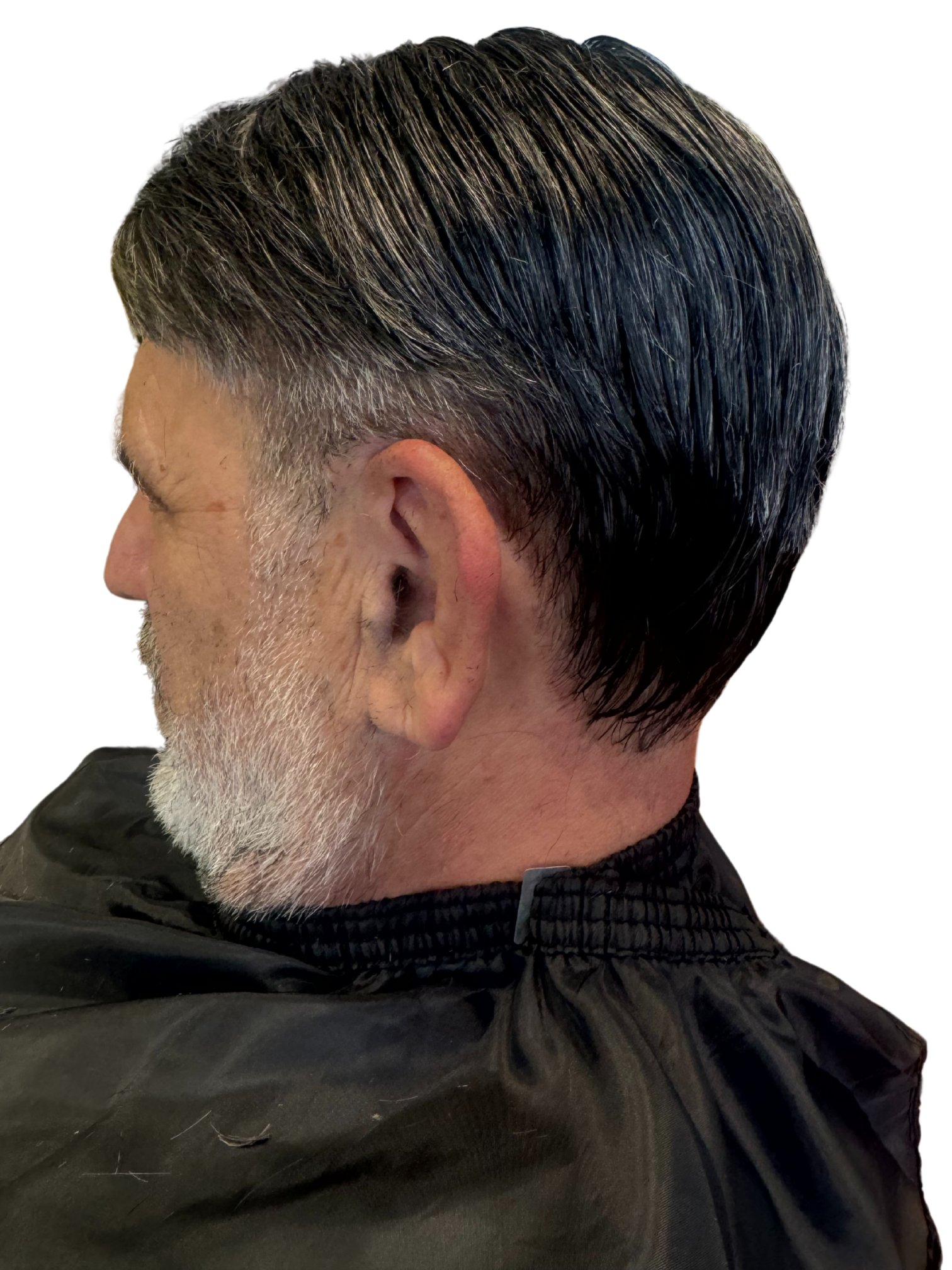 Toupe 2025